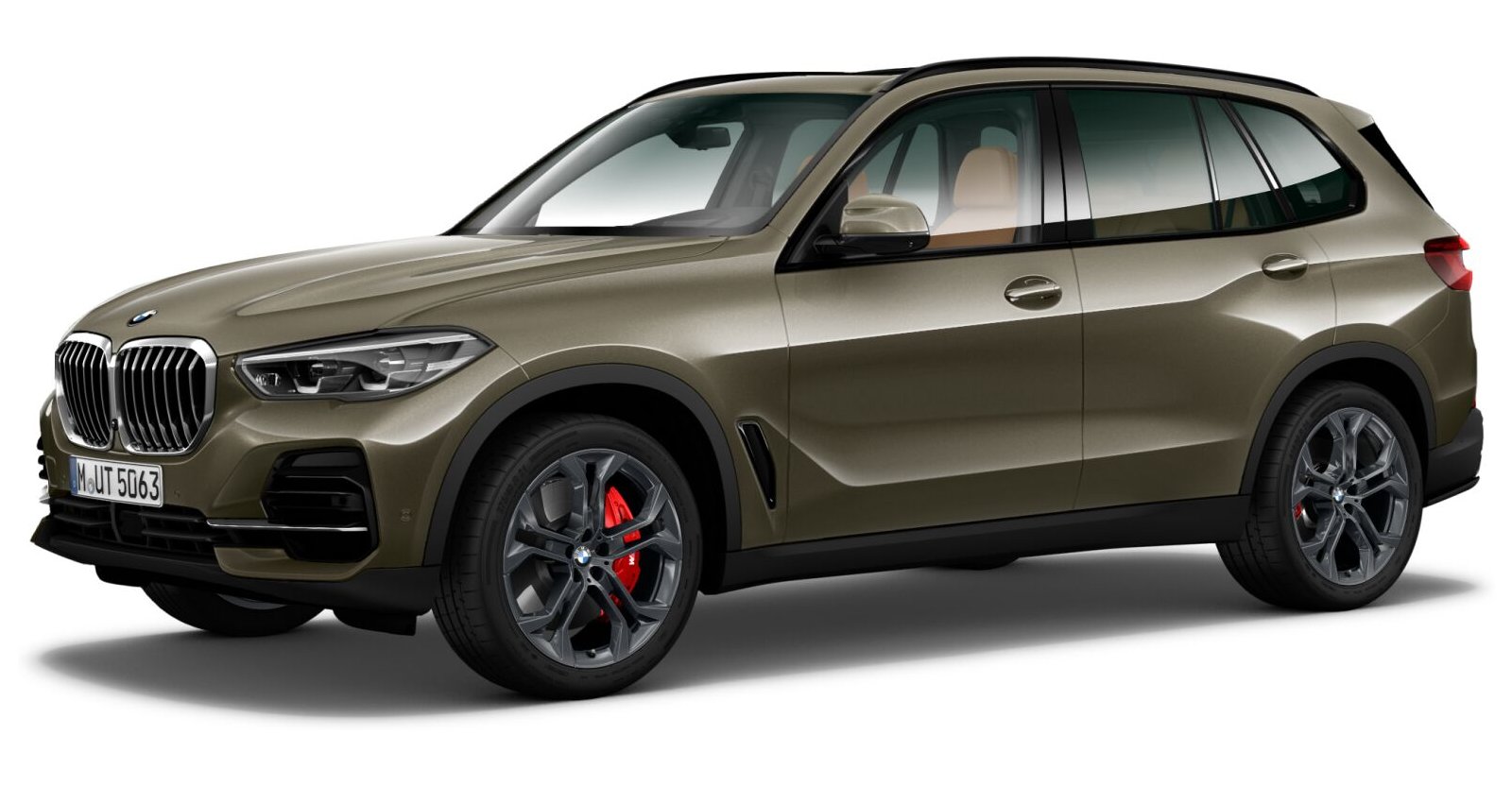 BMW X5 xDrive30d in Grün von vorne BMW X5 xDrive30d in Grün von vorne