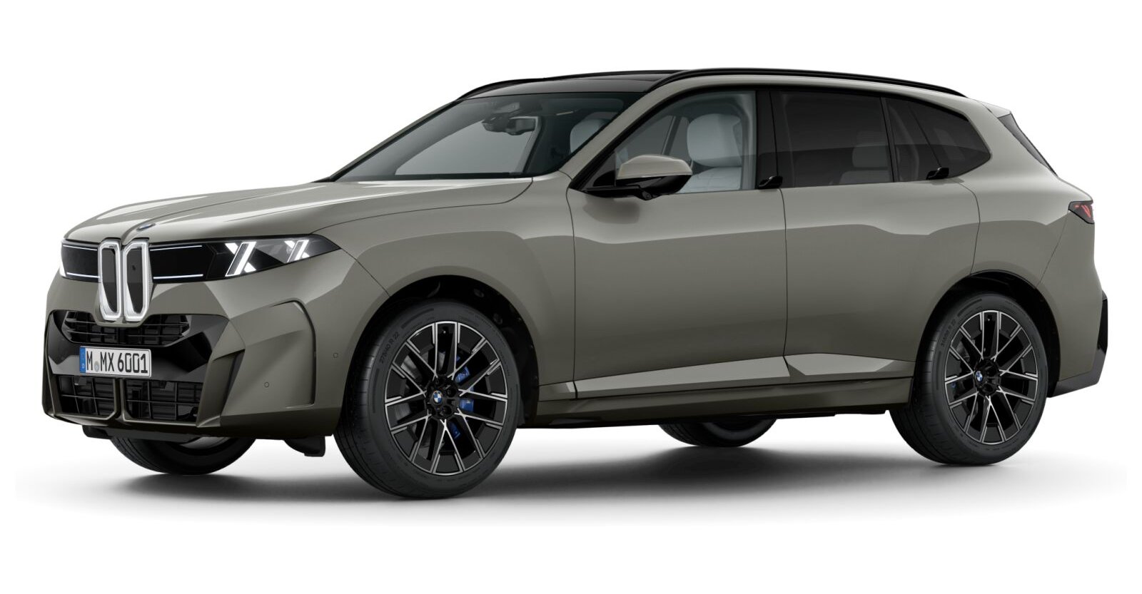 BMW BMW X in Grau von vorne BMW BMW X in Grau von vorne