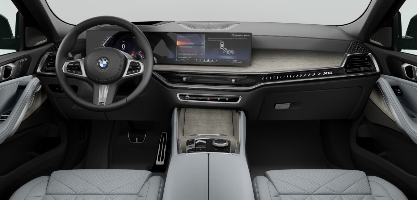 BMW BMW X im Innenraum von vorne BMW BMW X im Innenraum von vorne