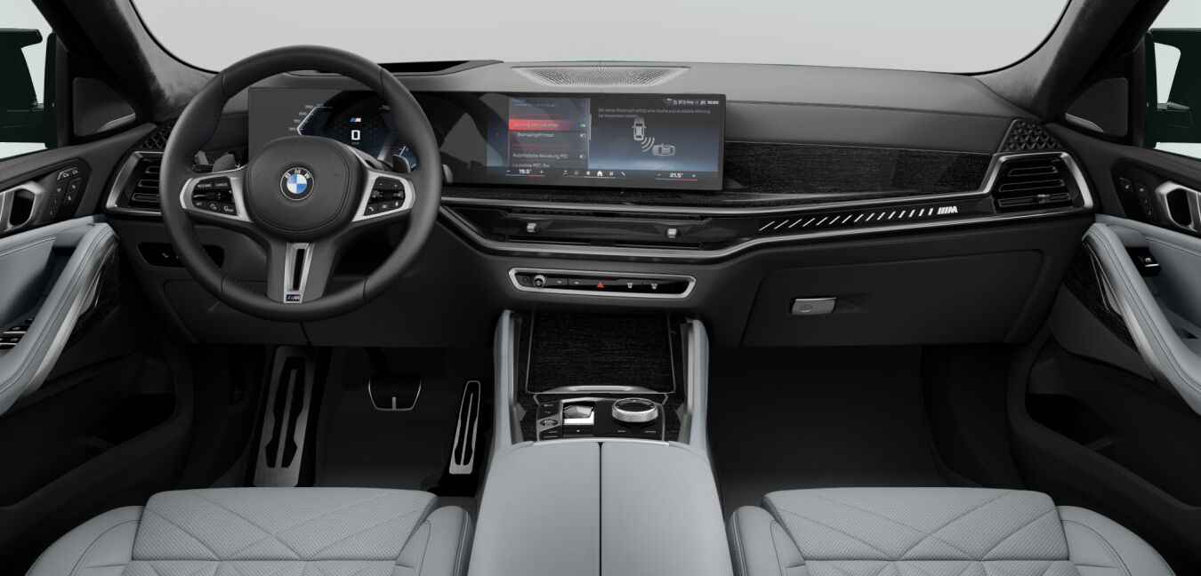 BMW BMW X im Innenraum von vorne BMW BMW X im Innenraum von vorne