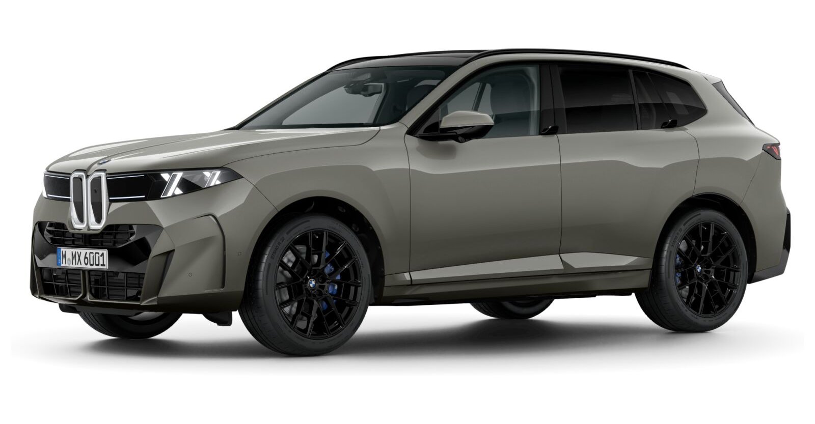 BMW BMW X in Grau von vorne BMW BMW X in Grau von vorne