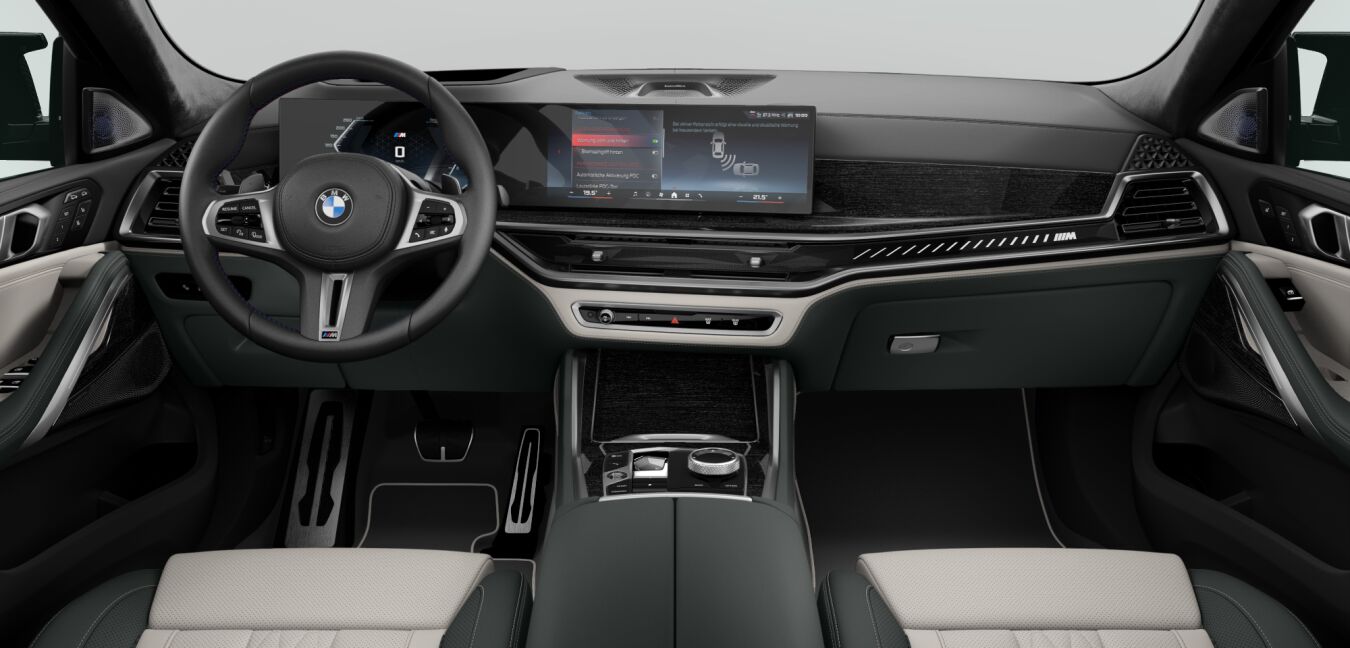 BMW BMW X im Innenraum von vorne BMW BMW X im Innenraum von vorne