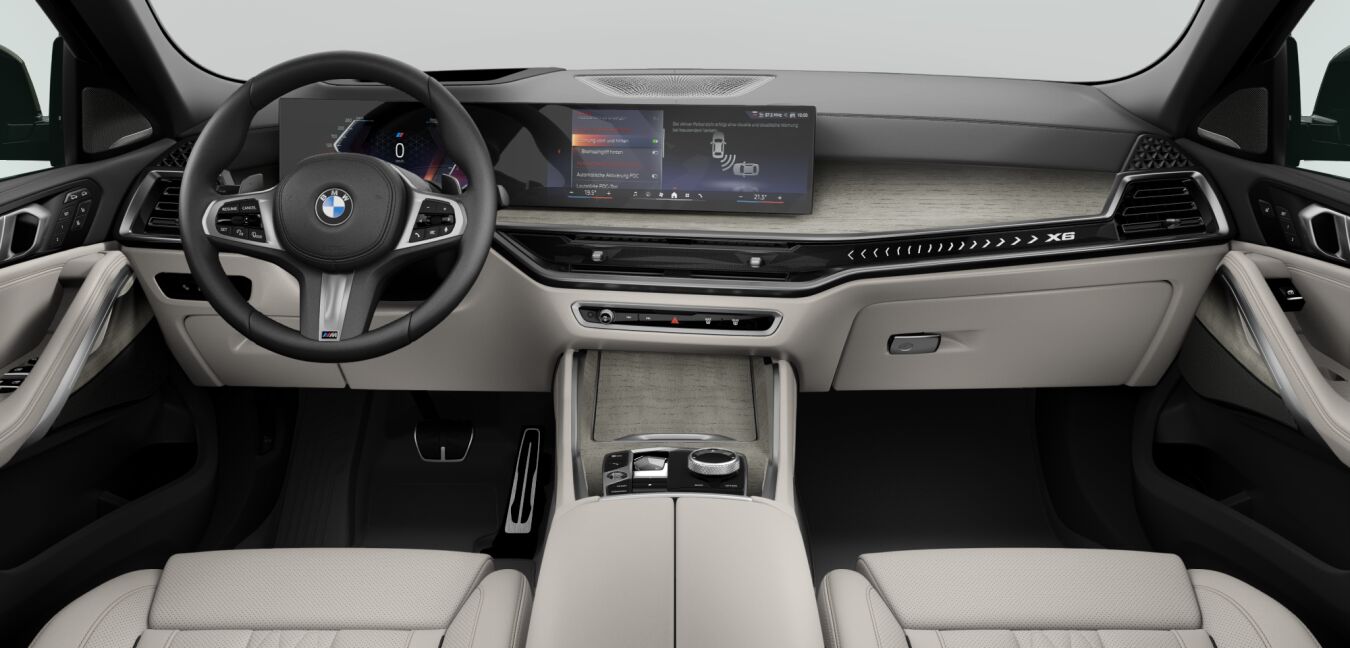 BMW BMW X im Innenraum von vorne BMW BMW X im Innenraum von vorne