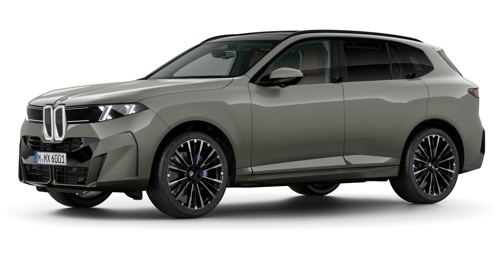 BMW BMW X in Grau von vorne BMW BMW X in Grau von vorne
