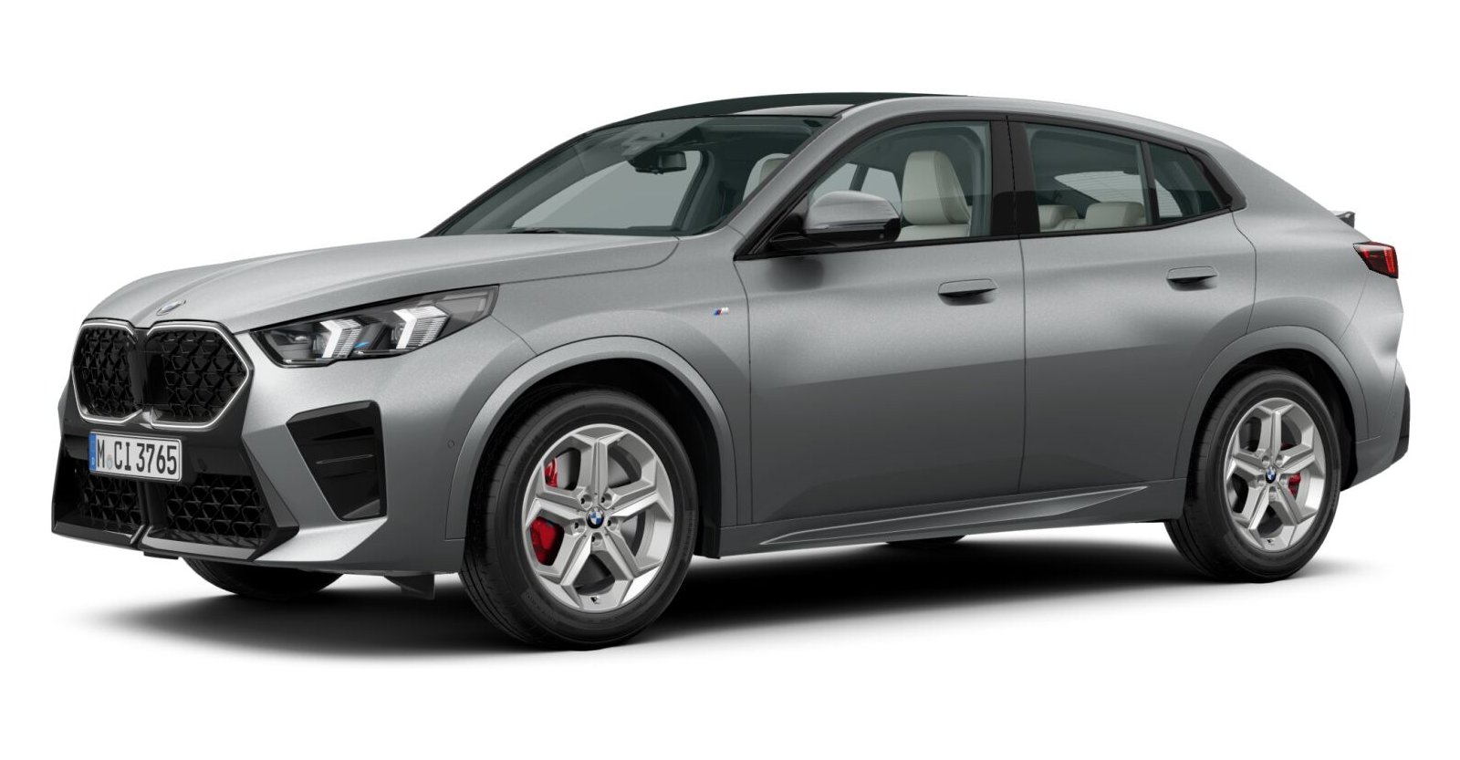 BMW BMW X in Grau von vorne BMW BMW X in Grau von vorne