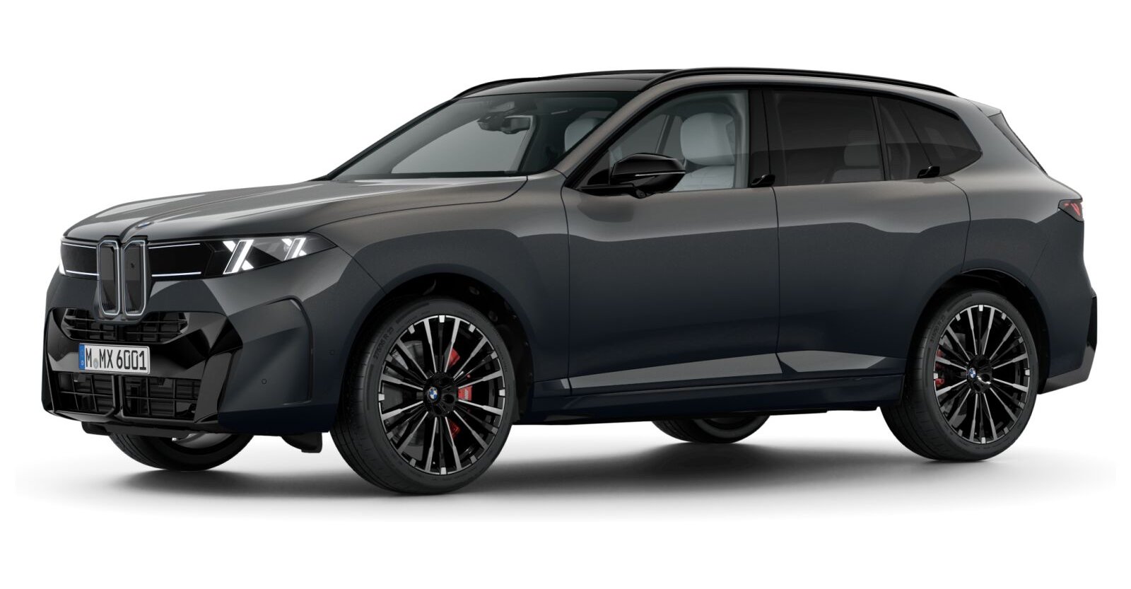BMW BMW X in Grau von vorne