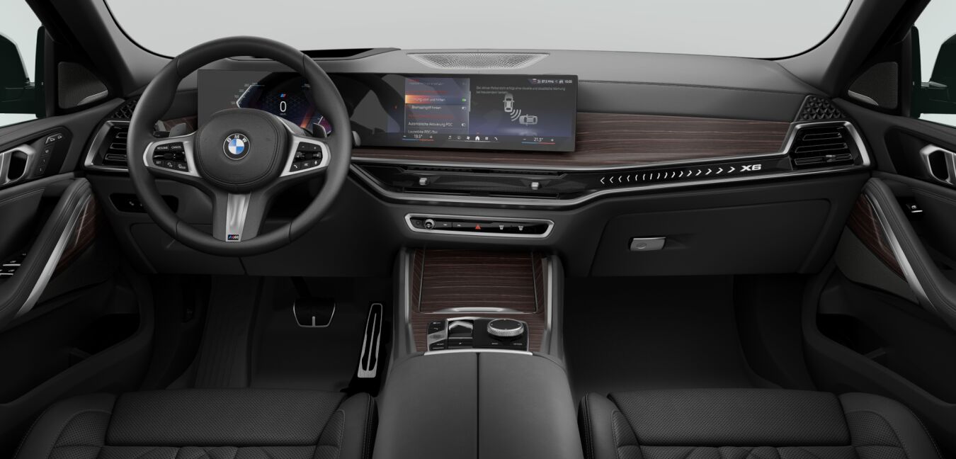 BMW BMW X im Innenraum von vorne