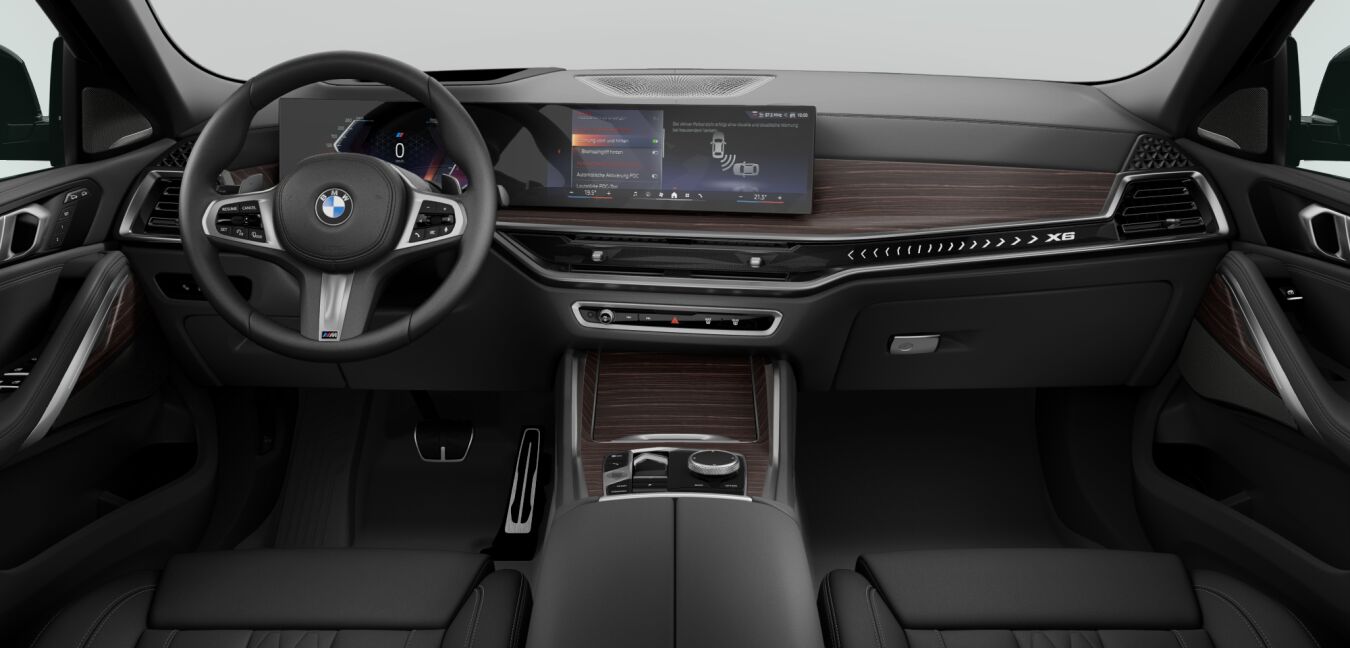 BMW BMW X im Innenraum von vorne BMW BMW X im Innenraum von vorne