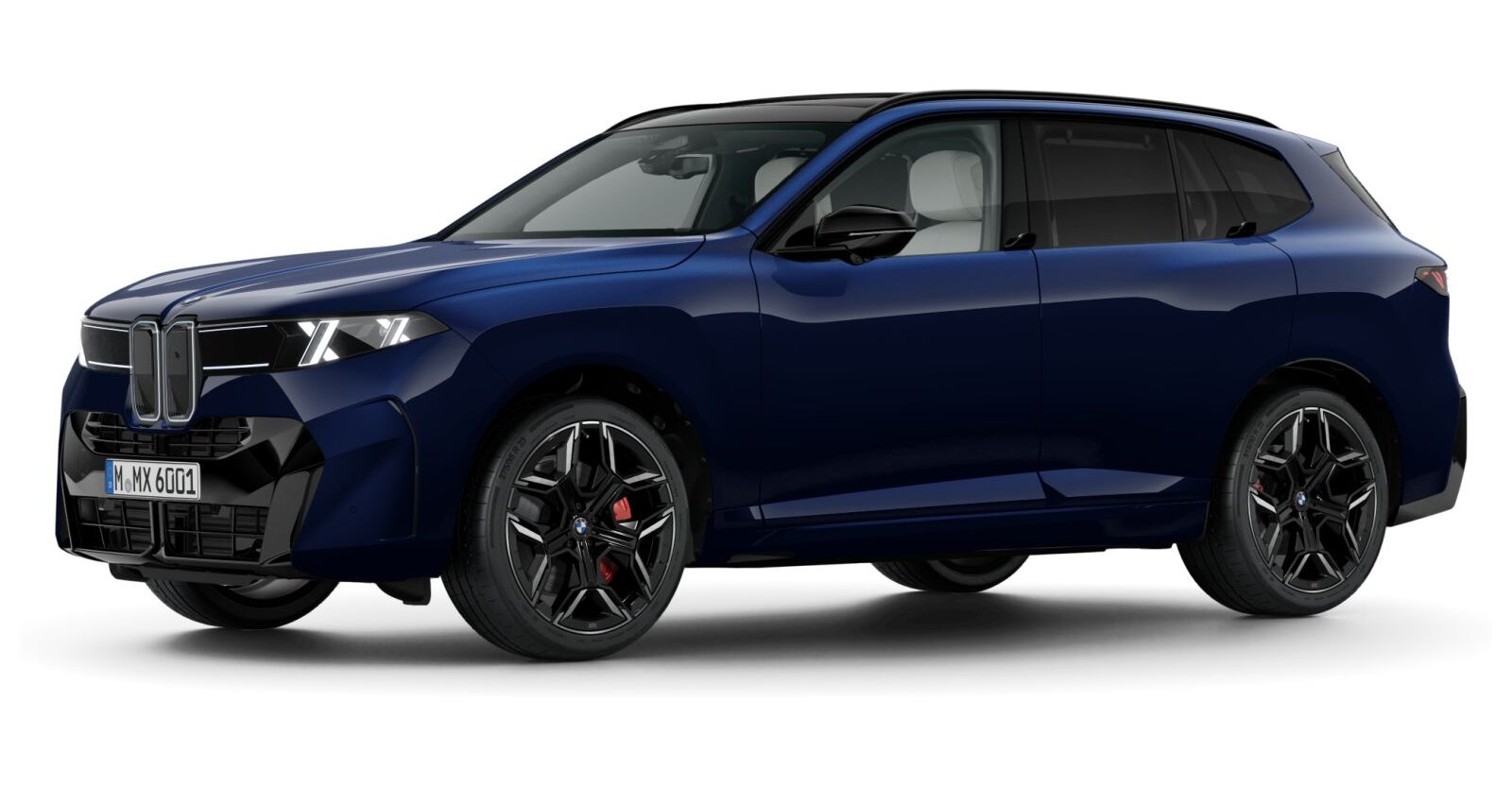 BMW BMW X in Blau von vorne