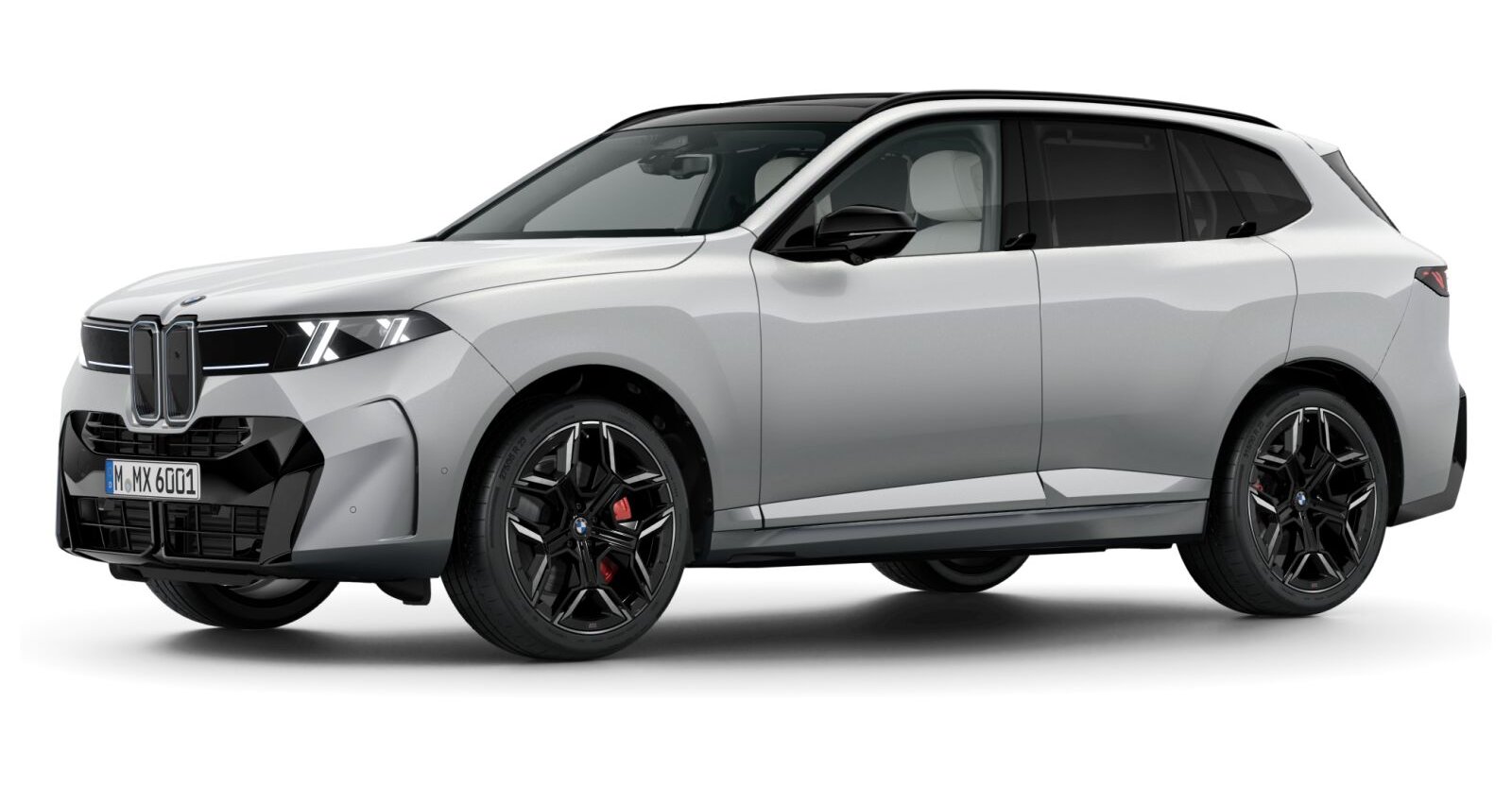 BMW BMW X in Grau von vorne