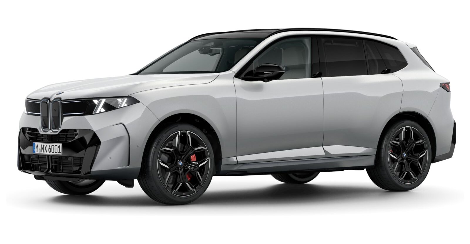 BMW BMW X in Grau von vorne
