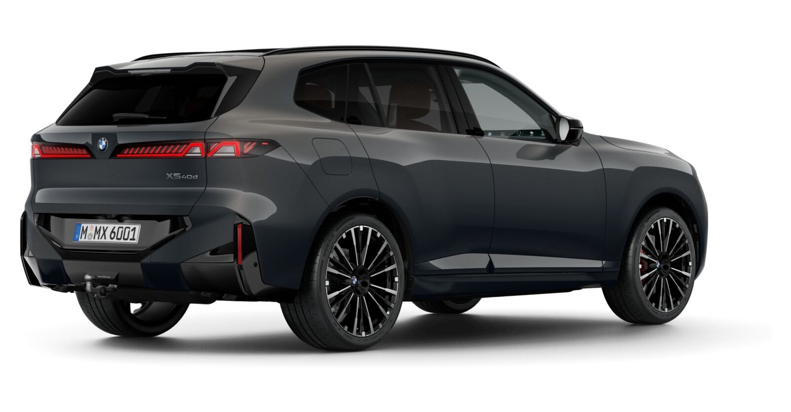 BMW BMW X in Grau von hinten