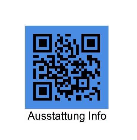 Originalaufnahme des Fahrzeugs