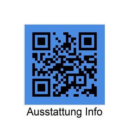 Originalaufnahme des Fahrzeugs