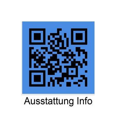 Originalaufnahme des Fahrzeugs