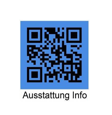 Originalaufnahme des Fahrzeugs