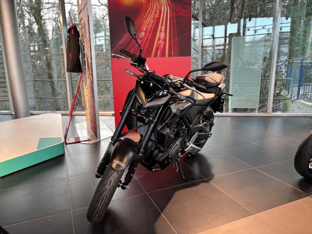 Originalaufnahme des Fahrzeugs