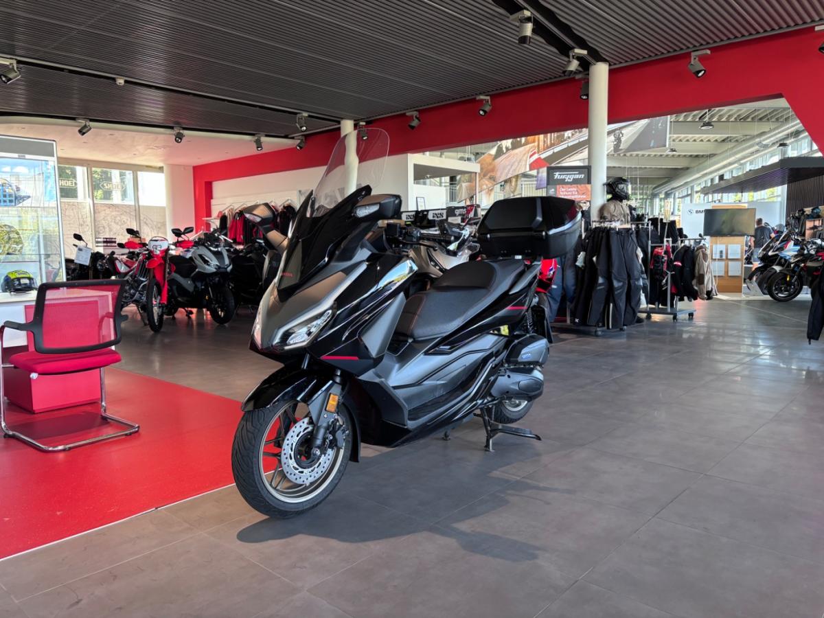 HONDA Forza 125 Special (KRAD) von vorne HONDA Forza 125 Special (KRAD) von vorne
