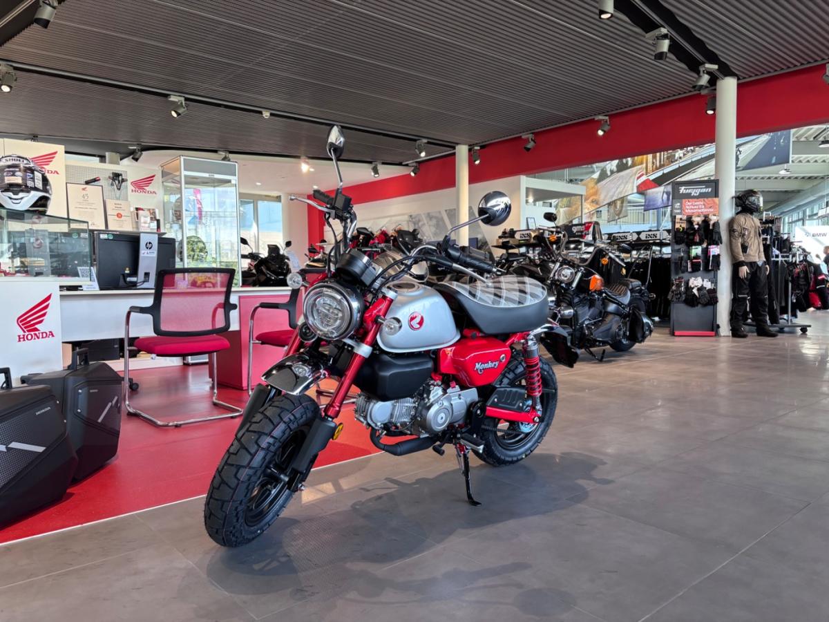 HONDA Z 125 Monkey von vorne HONDA Z 125 Monkey von vorne