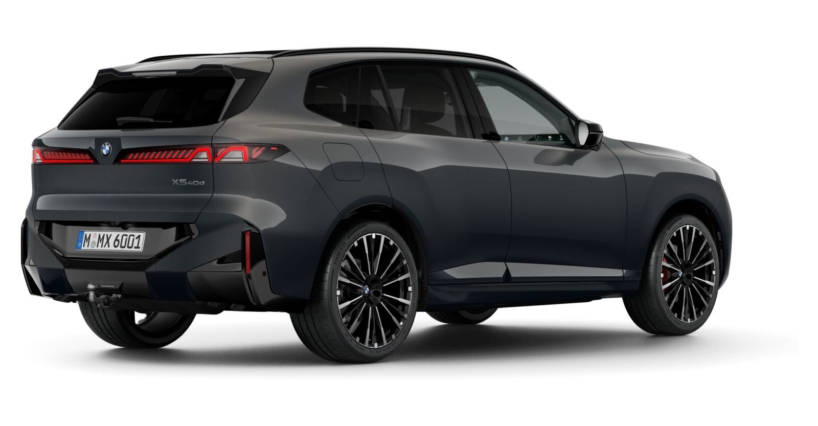 BMW BMW X in Grau von hinten