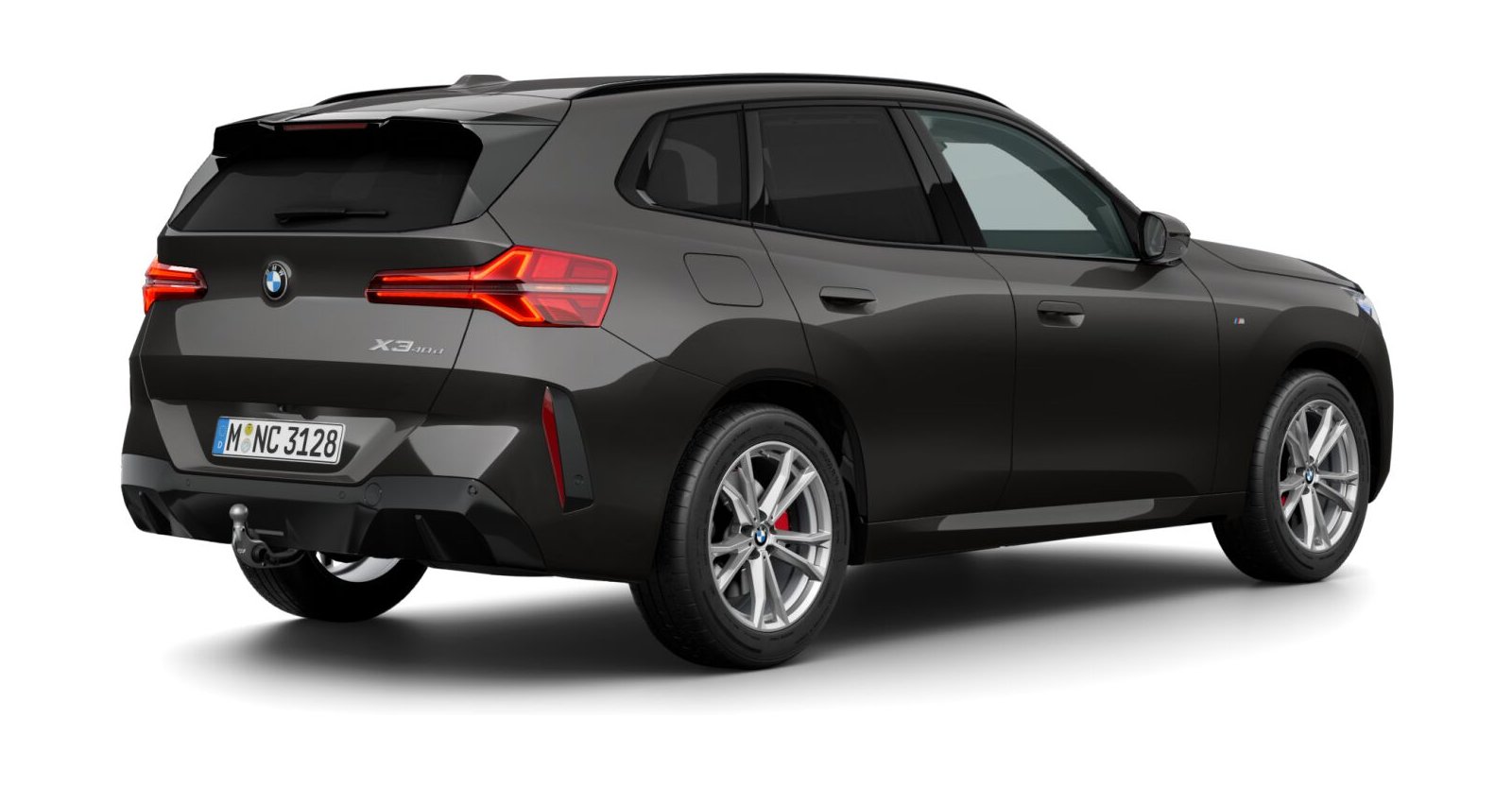 BMW BMW X in Grau von hinten