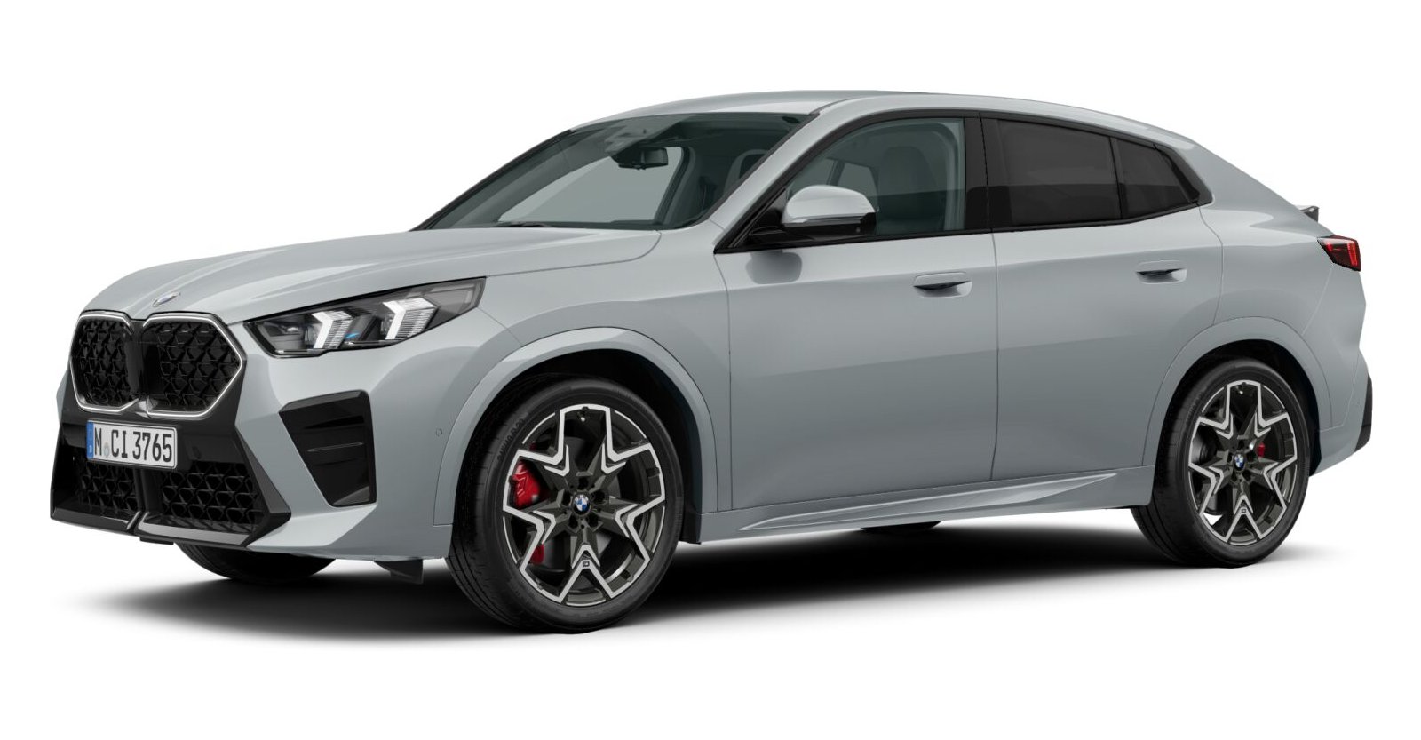 BMW BMW X in Grau von vorne