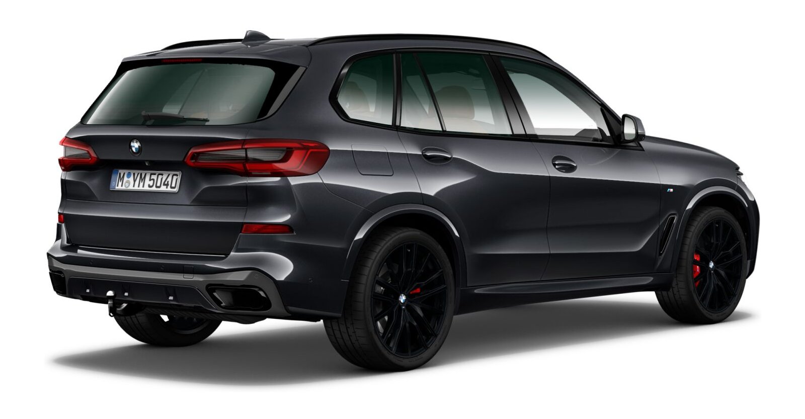 BMW BMW X in Grau von hinten