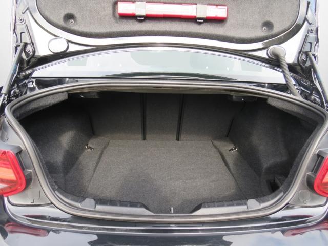 Originalaufnahme des Fahrzeugs