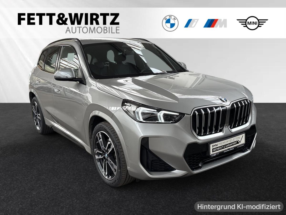 BMW X1 xDrive23d Originalaufnahme