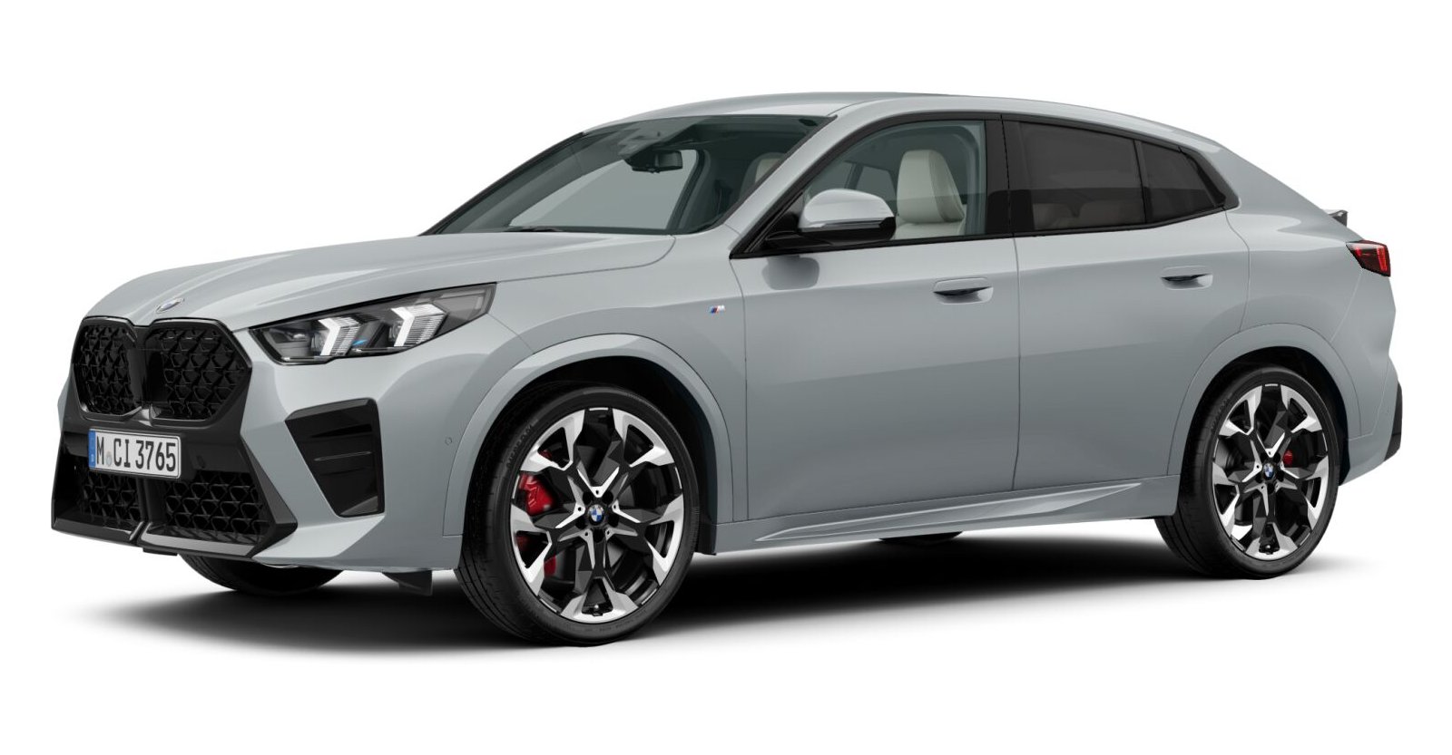 BMW BMW X in Grau von vorne