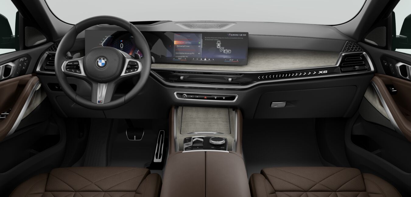 BMW BMW X im Innenraum von vorne BMW BMW X im Innenraum von vorne