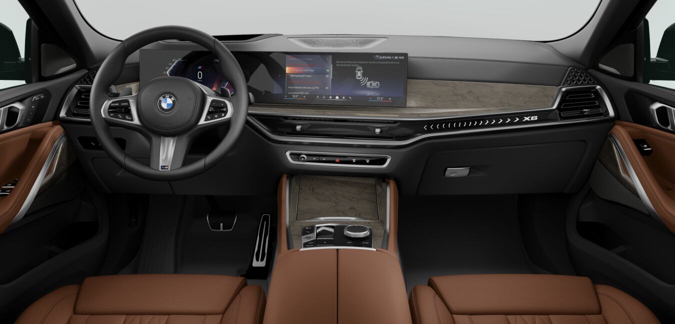 BMW BMW X im Innenraum von vorne