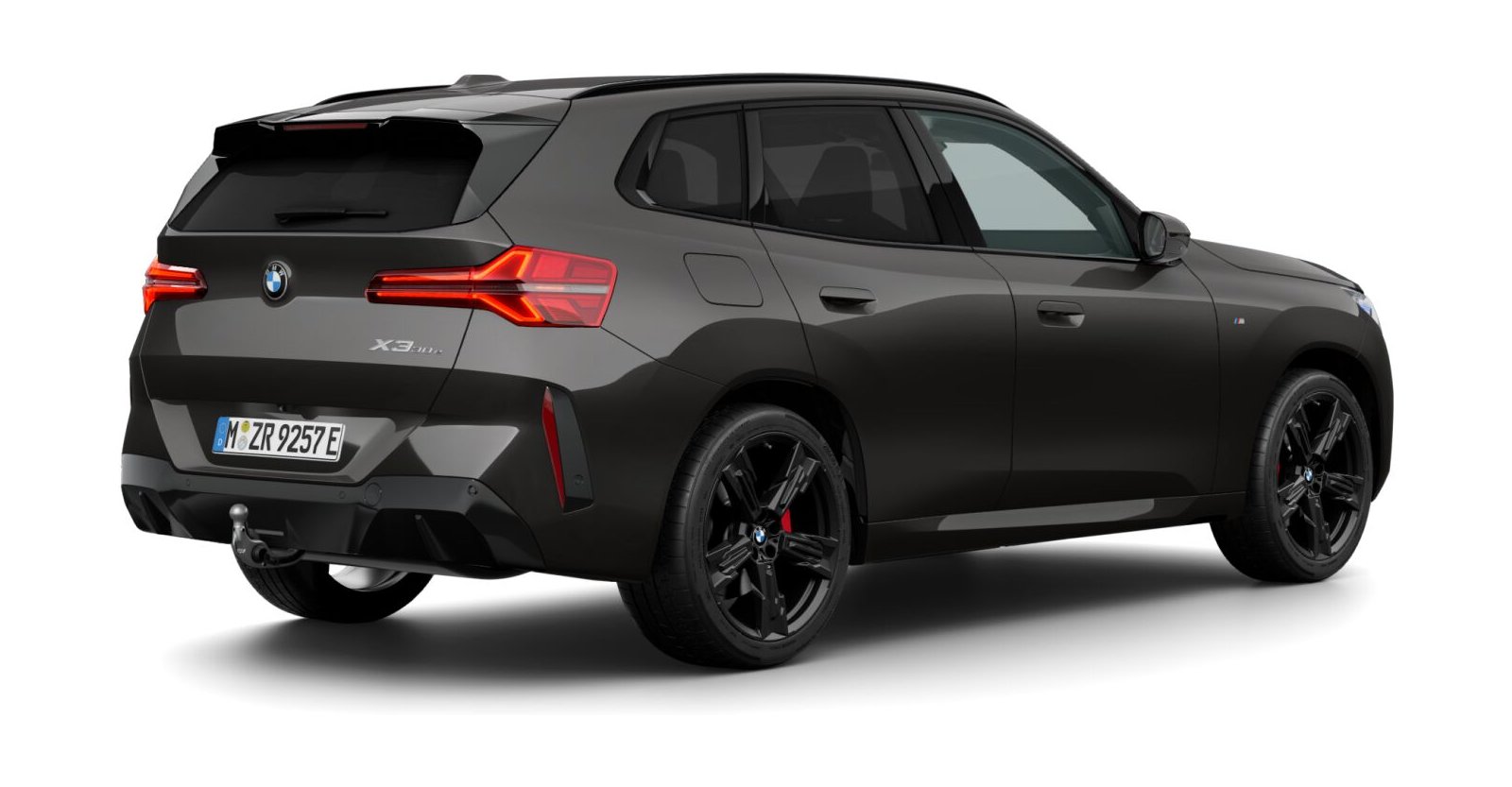 BMW BMW X in Grau von hinten