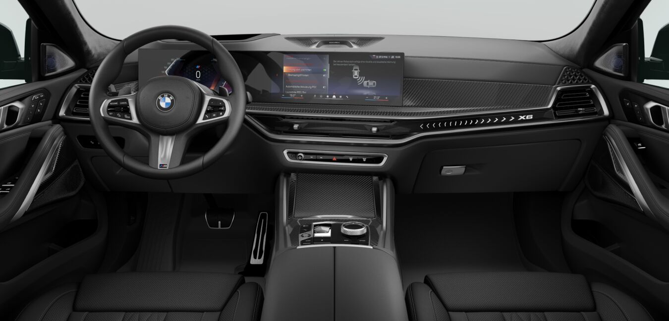 BMW BMW X im Innenraum von vorne