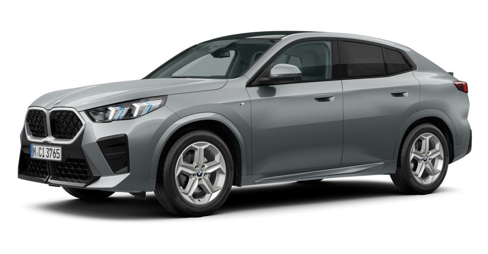 BMW BMW X in Grau von vorne