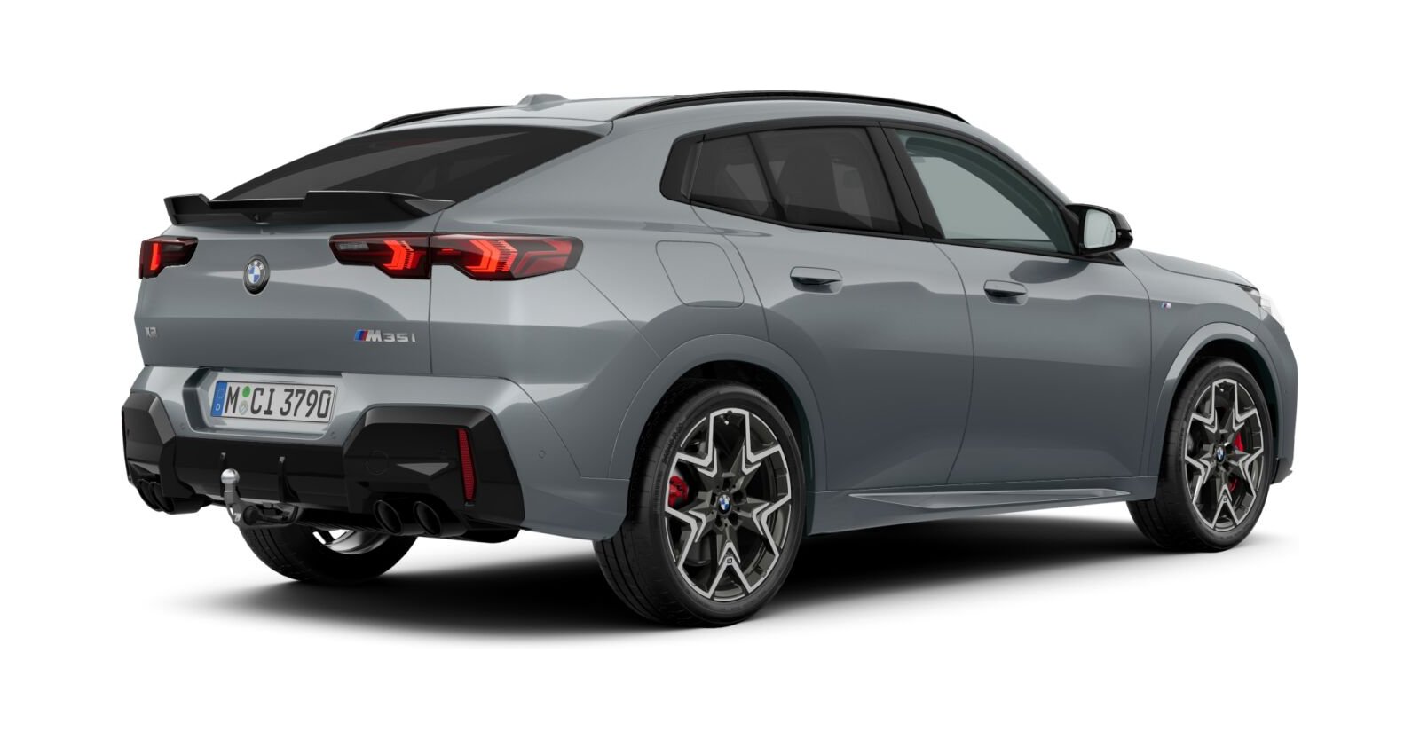 BMW BMW X in Grau von hinten