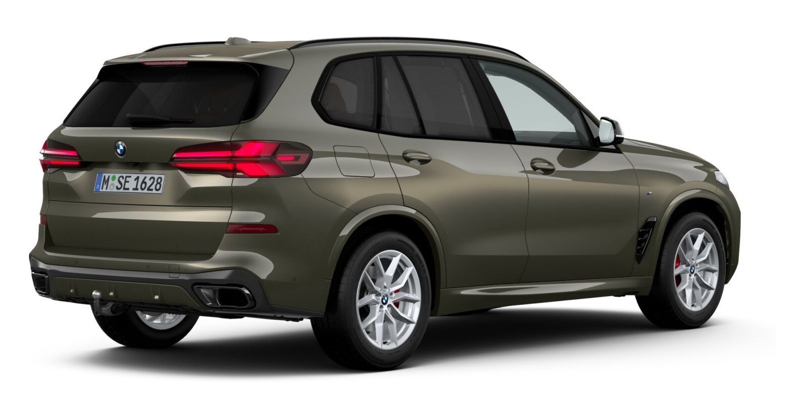 BMW BMW X in Grün von hinten